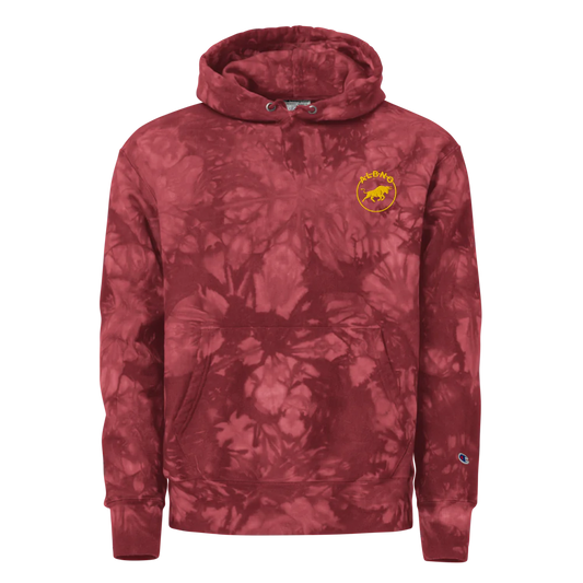 Unisex Champion Tie-Dye Hoodie