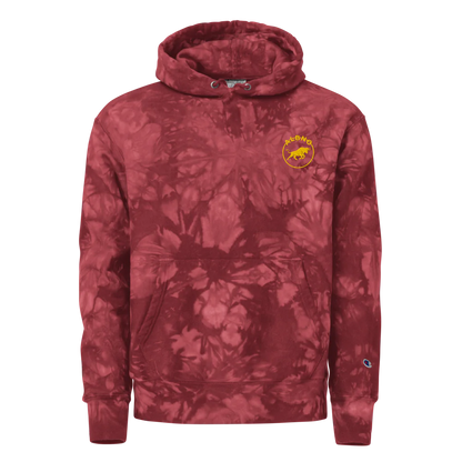 Unisex Champion Tie-Dye Hoodie